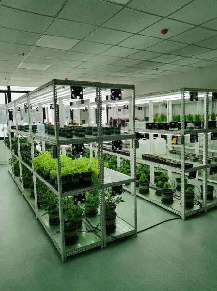 主要成果377.png 联创成果(图2)