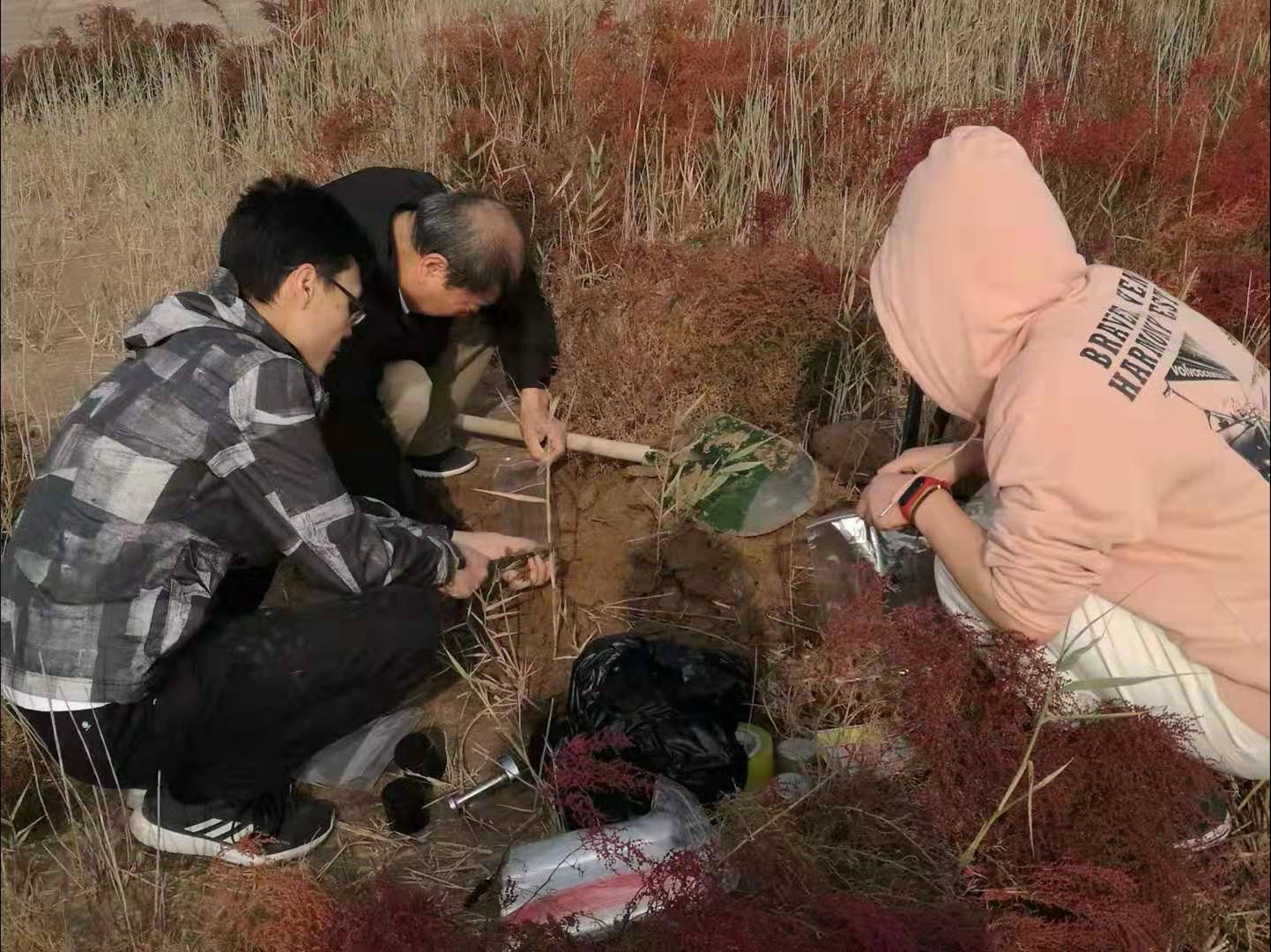 耐盐生防菌(图3)